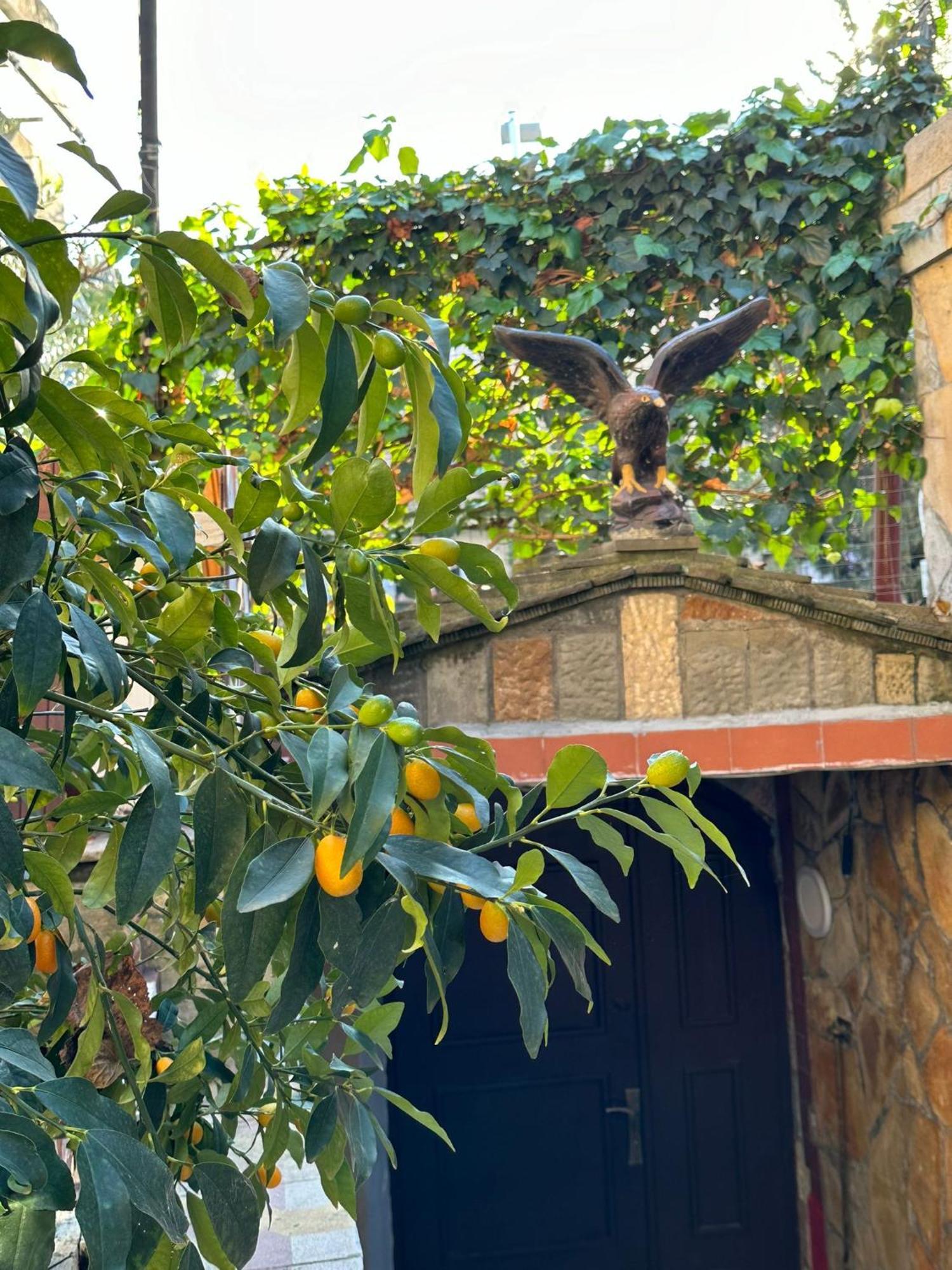 Alimeti Guesthouse Berat Zewnętrze zdjęcie